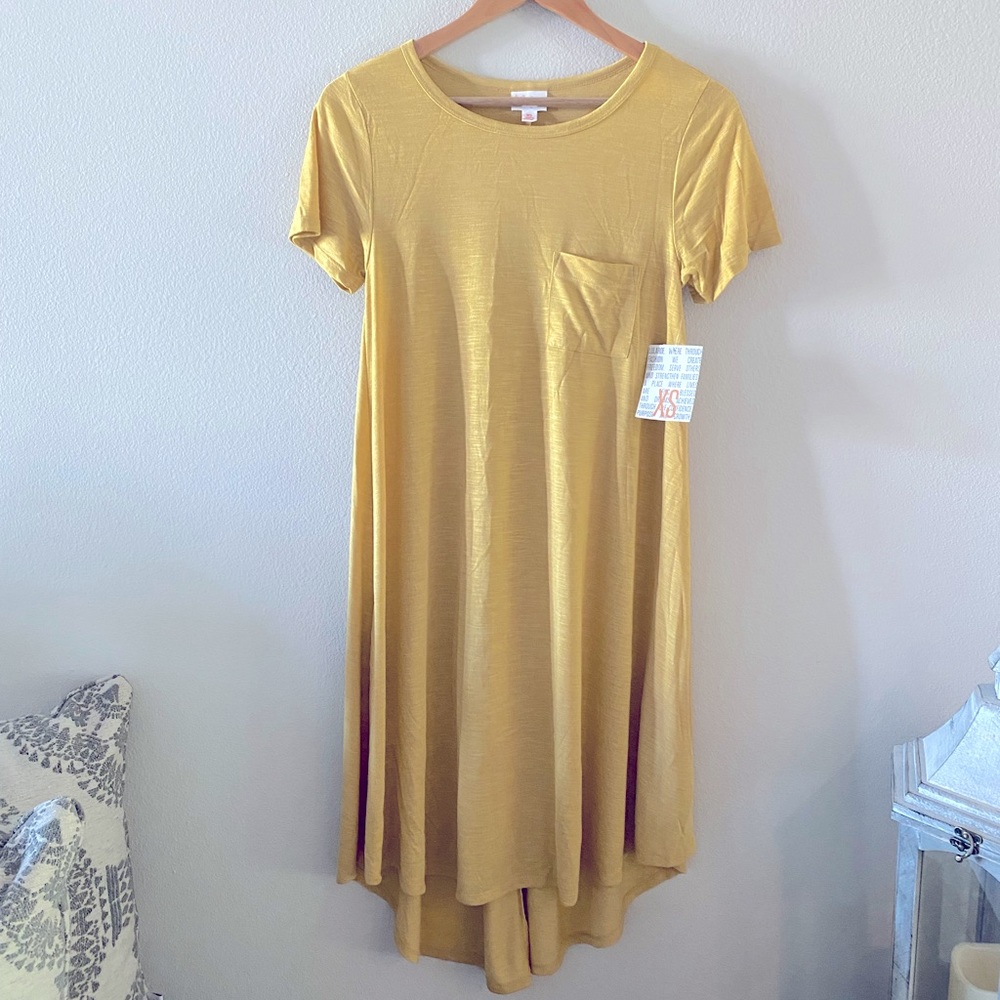 NWT LuLaRoe Carly!